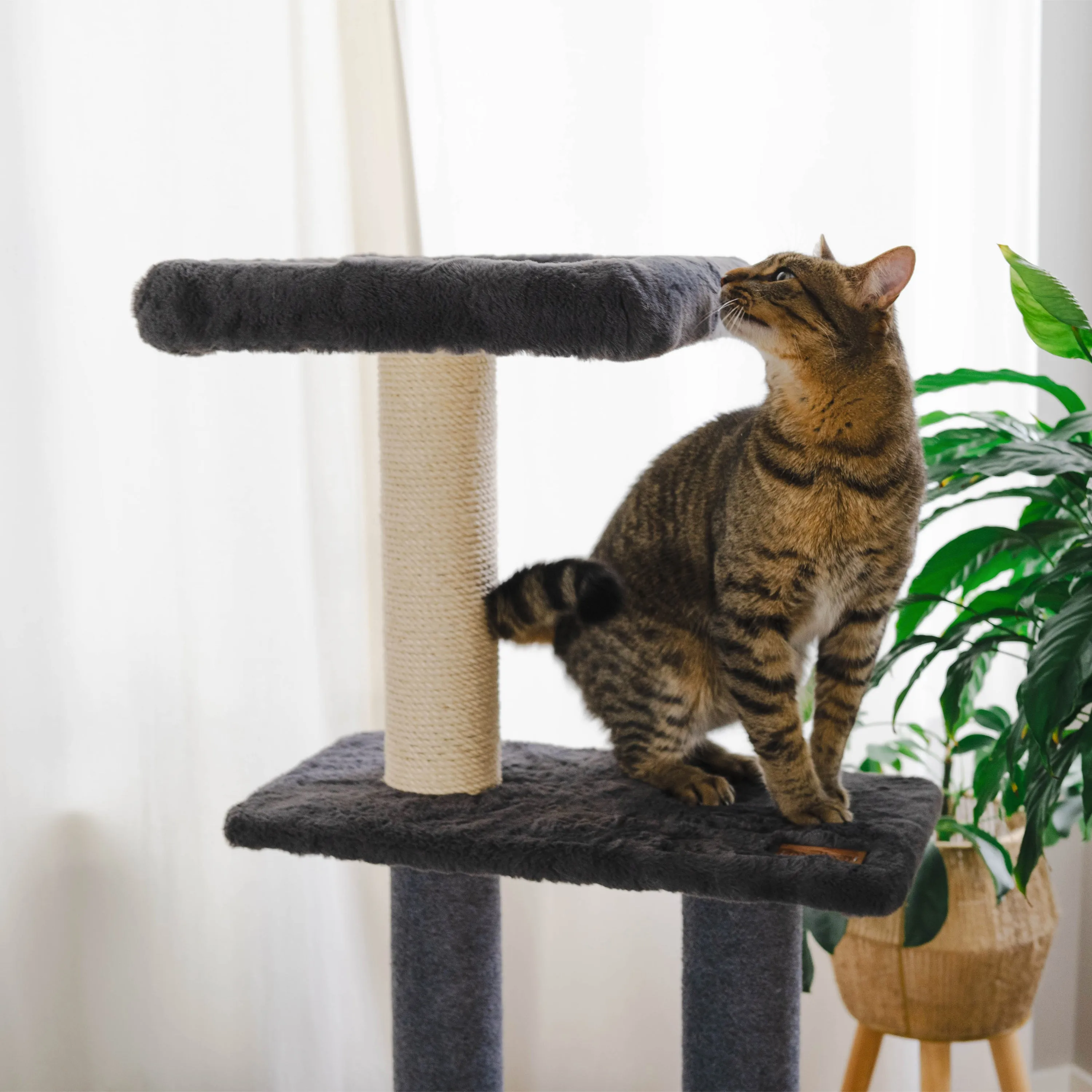 Hut Hideout 3-Level Cat Tree, photo 5