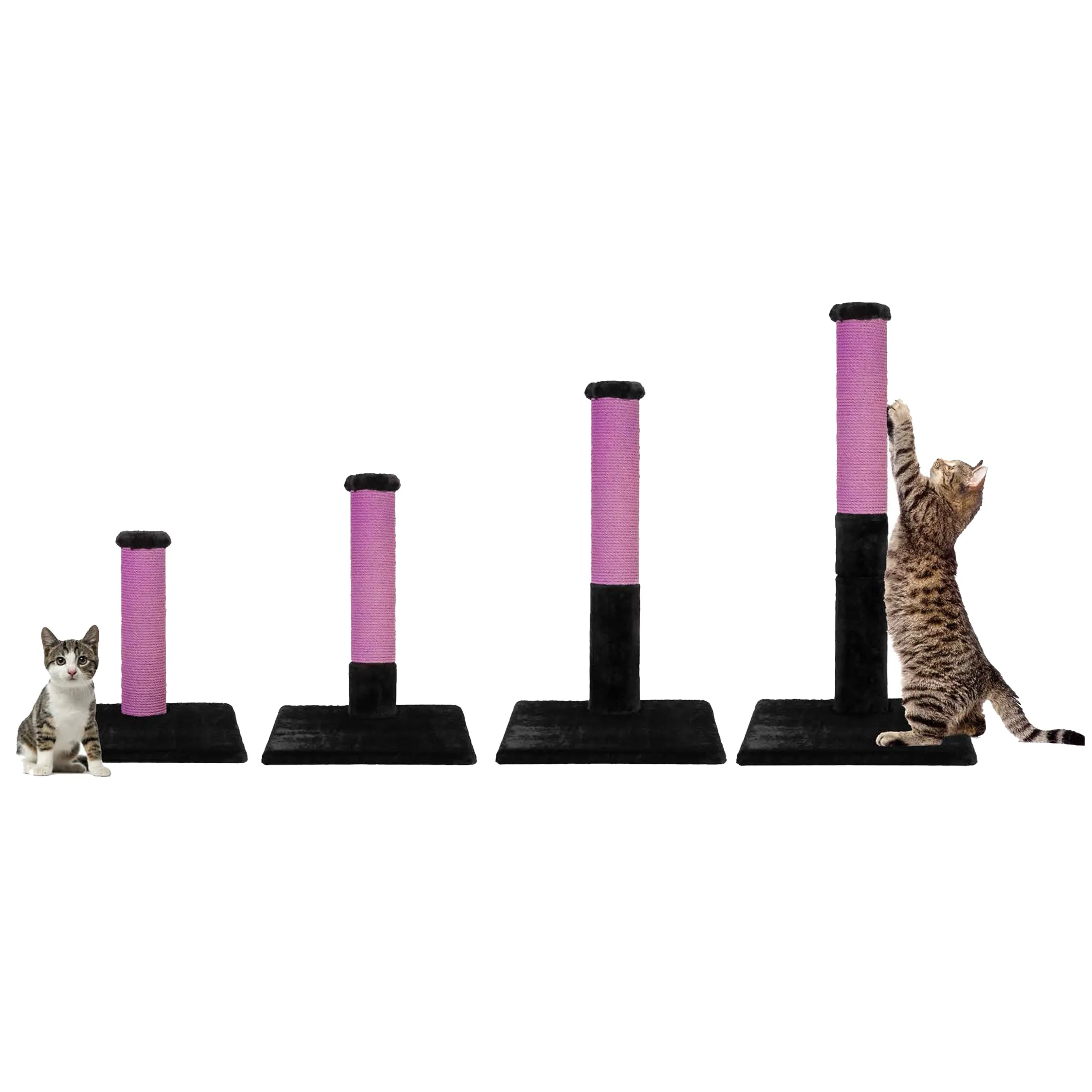 Noba Evolution 4-in-1 Scratching Post, photo 3
