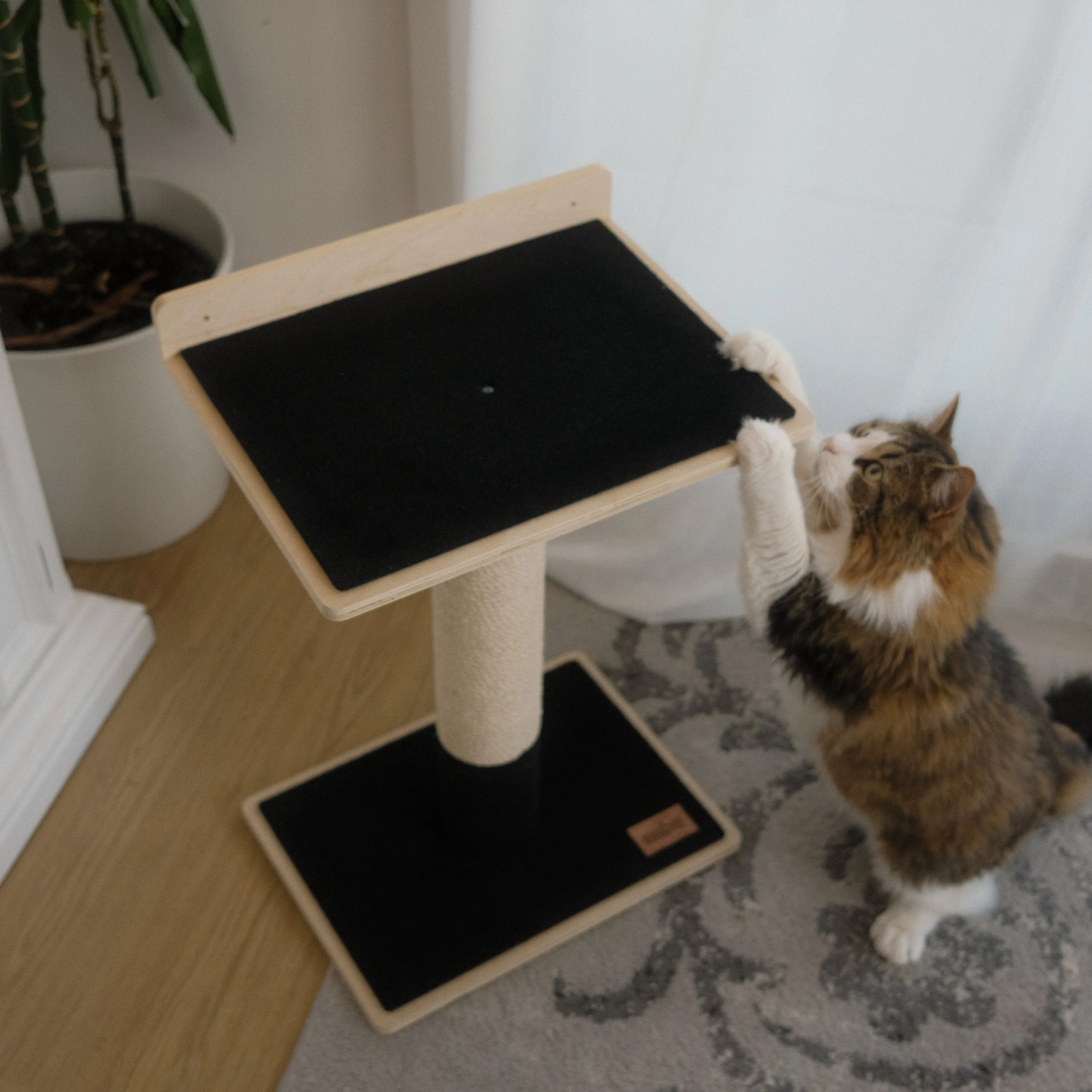 Noba Modern Plywood 1-Level Cat Tree, photo 3