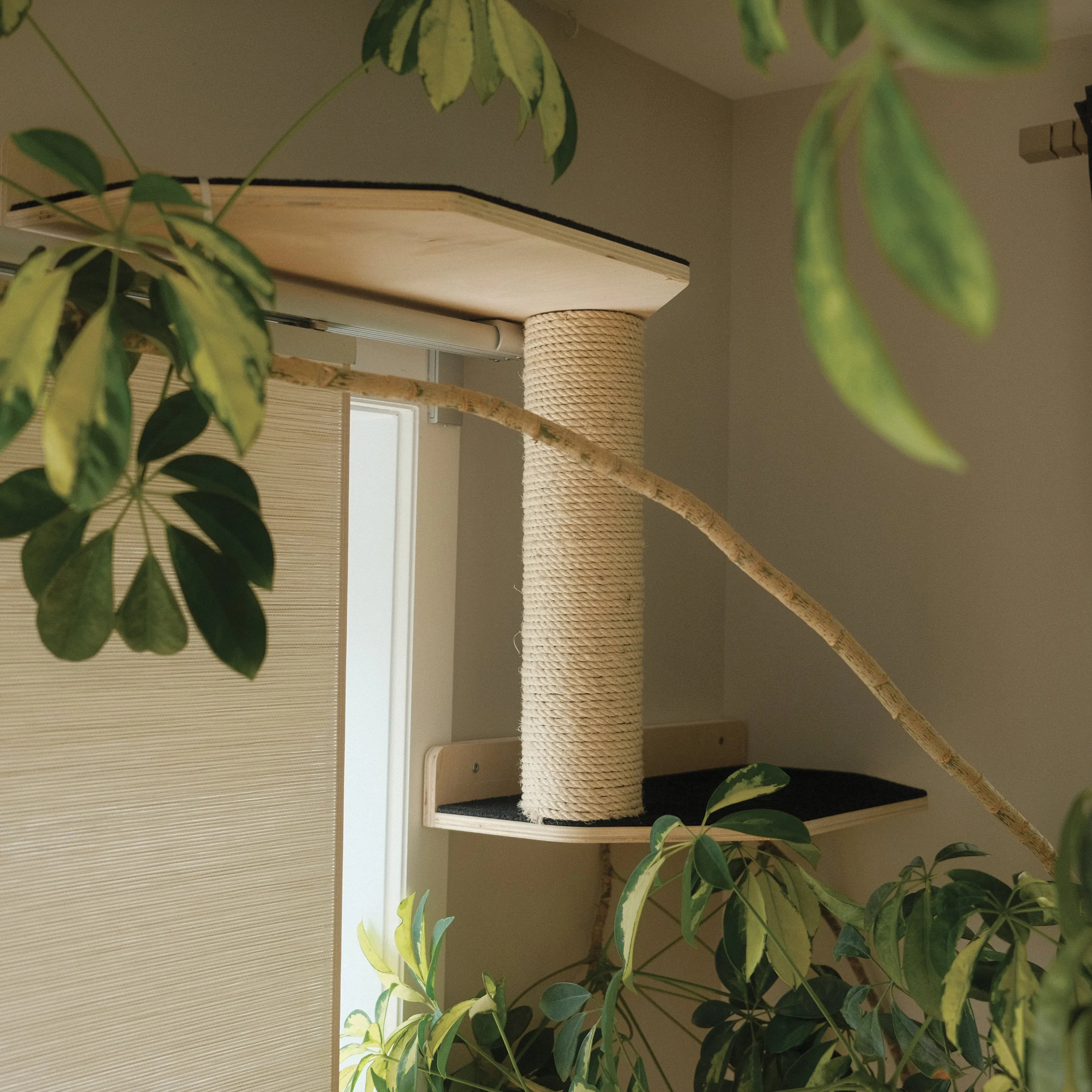 Mural Kit – The Vertical Playground, photo 5
