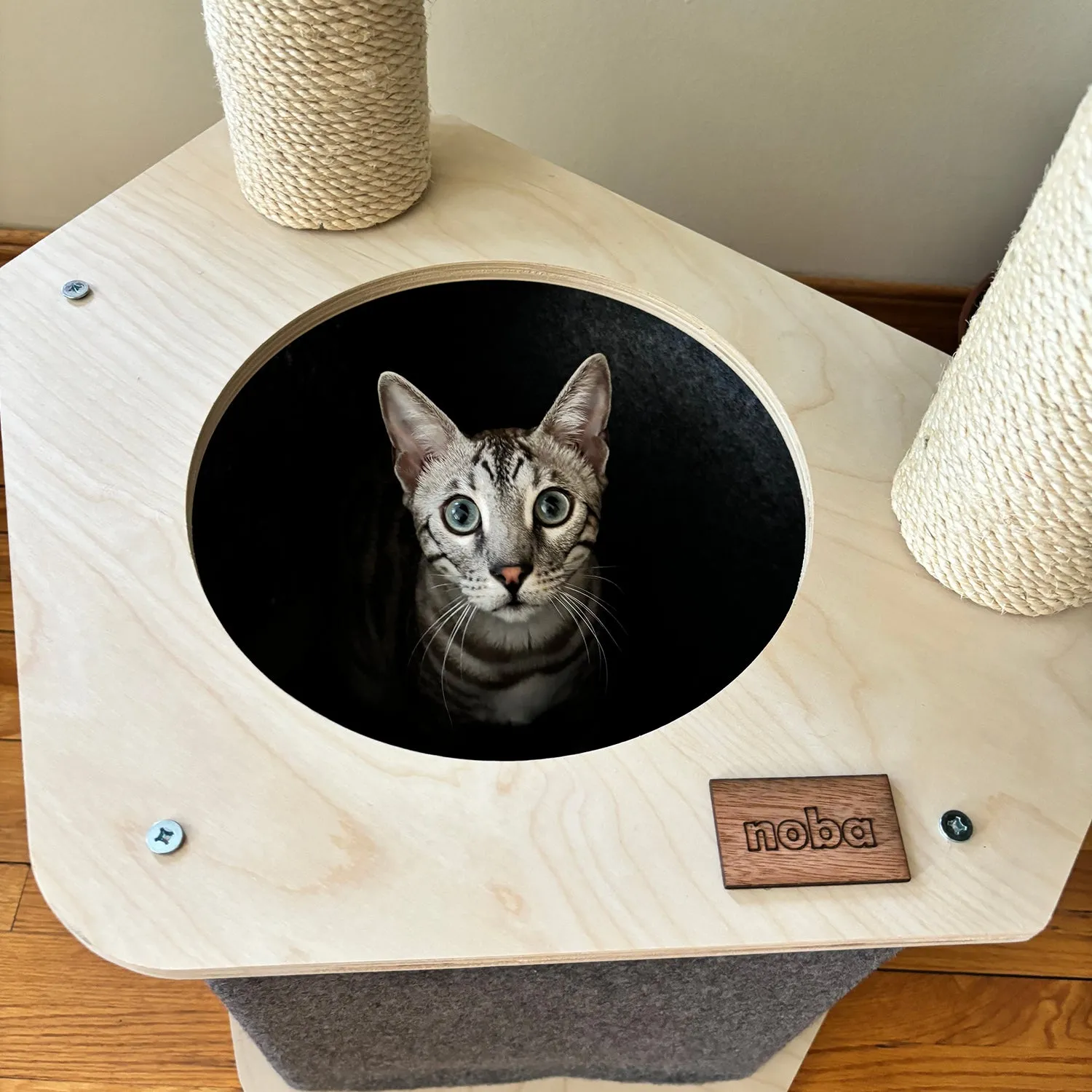 The Lodge 2-Level Cat Tree, photo 4
