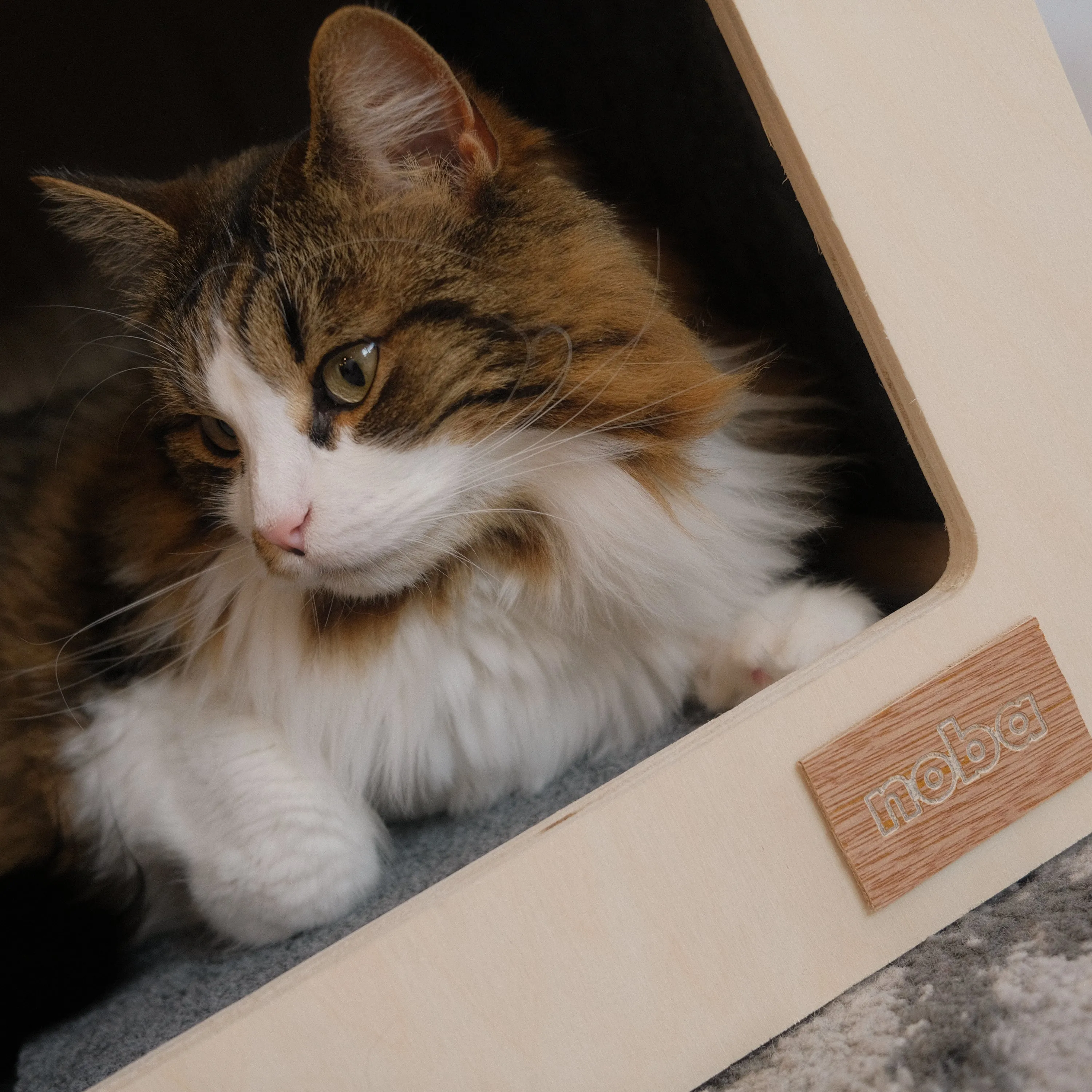 The Urban Hut Pet House, photo 4